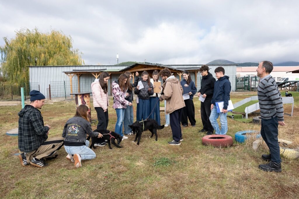 Практическо занятие с кучетата в двора на приюта в Сеславци